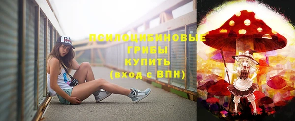 стафф Богородицк