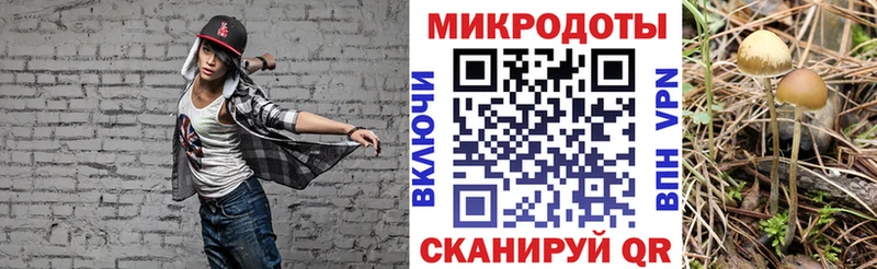 Псилоцибиновые грибы GOLDEN TEACHER  Купить  Выкса 